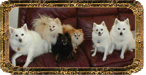 Family3.gif - 99123 Bytes