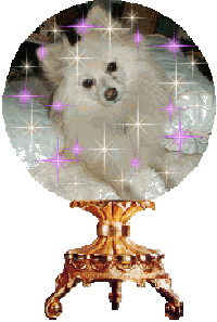bunglb.gif - 22338 Bytes
