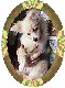 bunind.gif