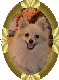 busterind.gif