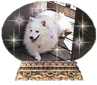 dondiglobe.gif - 23165 Bytes