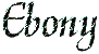 ebindtitle.gif