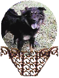 fellaglb.gif - 32018 Bytes