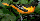 firebird2.gif - 1588 Bytes