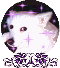 liladyglb.gif - 24183 Bytes