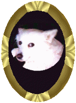liladyind.gif