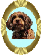 mattieind.gif - 2662 Bytes