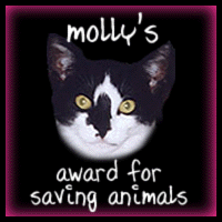 mollyaward.gif - 17599 Bytes