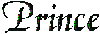 princeindtitle.gif