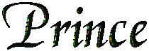 princetitle.gif - 4603 Bytes