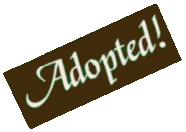 snwadopt.gif - 6166 Bytes