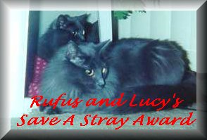 stray.jpg - 15693 Bytes